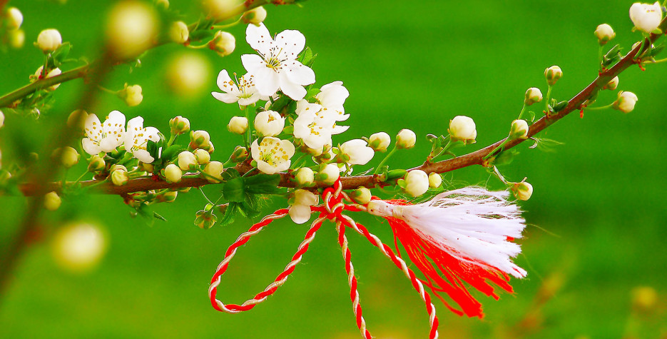 White blossoms on a branch with traditional red and white Mărțișor tassel celebrating spring